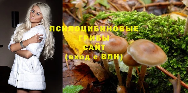 молекула духа Янаул