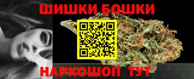 стаф Гатчина