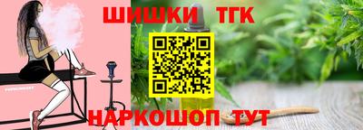 стаф Гатчина