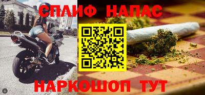 стаф Гатчина