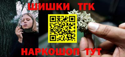 стаф Гатчина