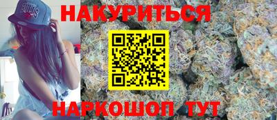 стаф Гатчина