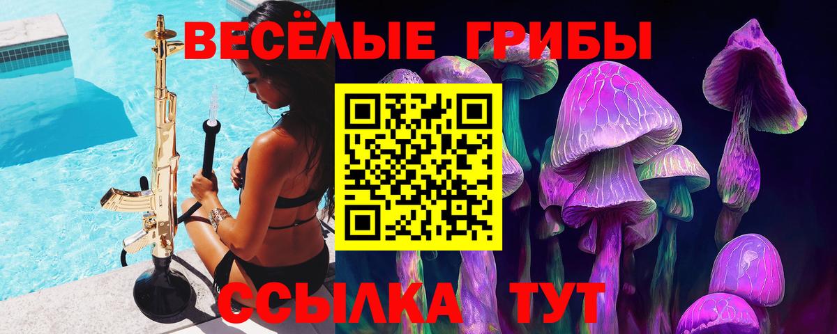 Галлюциногенные грибы Psilocybine cubensis Елец